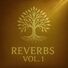 Longevity Peace Reverbs, Vol. 1