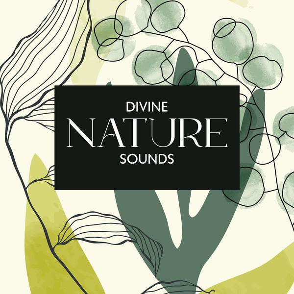 Hypnosis Nature Sounds Universe|Divine Nature Sounds: Relaxing Sounds of Earth to Calm You Down, Put to Sound Sleep, Get Rid of Anxiety & Nervousness