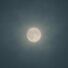 BCoast Moonlight faded (feat. 3TXR Bayden)