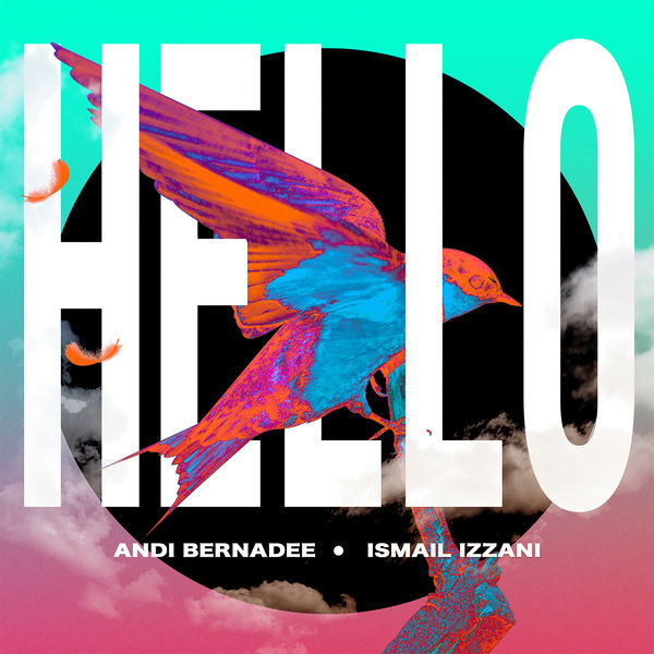 Album Hello Andi Bernadee Qobuz Download And Streaming In High Quality