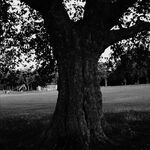 King Krule A New Place 2 Drown