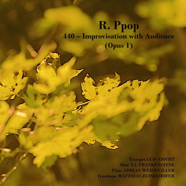 Adrian Weisweiller|440 – Improvisation with Audience (Opus 1) [Live]