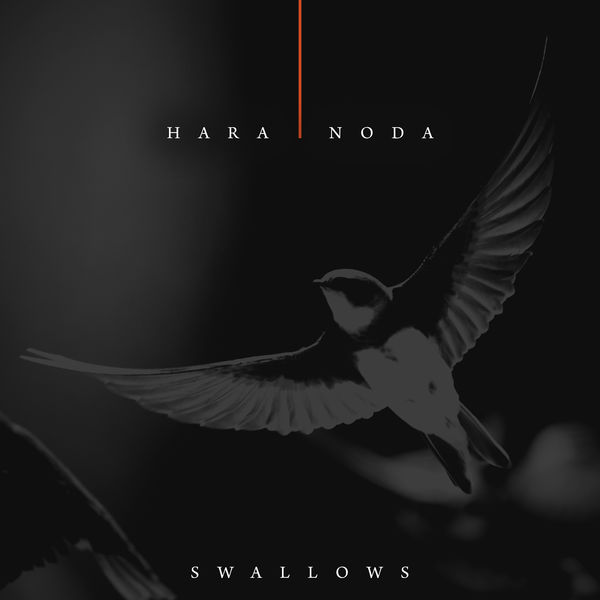 Hara Noda|Swallows Hara Noda|Swallows