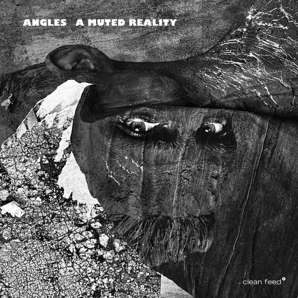 Angles|A Muted Reality Angles|A Muted Reality