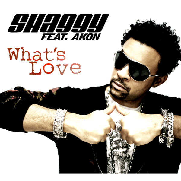 Shaggy|What's Love Shaggy|What's Love