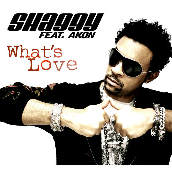 Shaggy|What's Love