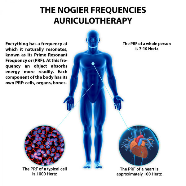 Advanced Dreams|The Nogier Frequencies Auriculotherapy Advanced Dreams|The Nogier Frequencies Auriculotherapy