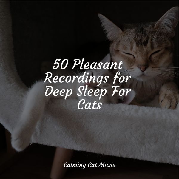 Curated visual reference: Picture Idea: Calming Music For Cats Sleep Music For Cats No Ads