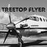 judtown Treetop Flyer