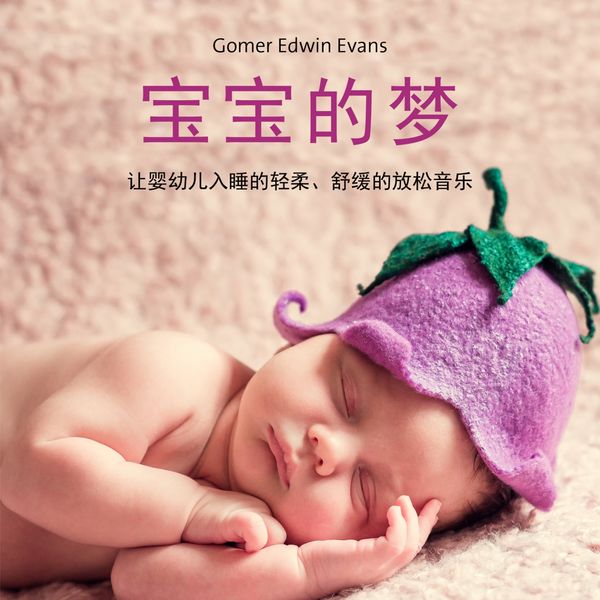 Gomer Edwin Evans|宝宝的梦  (让婴幼儿入睡的轻柔、舒缓的放松音乐)