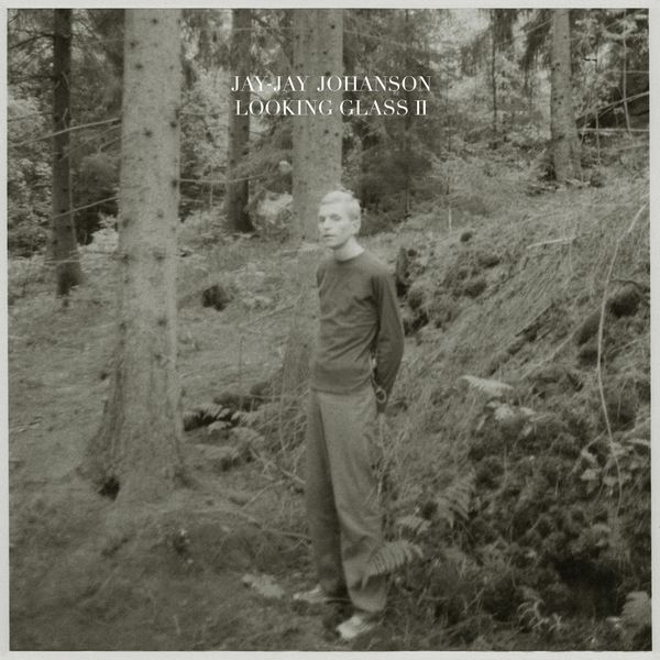 Jay-Jay Johanson|Looking Glass, Vol. 2 (Bury the Hatchet Bonus Album)