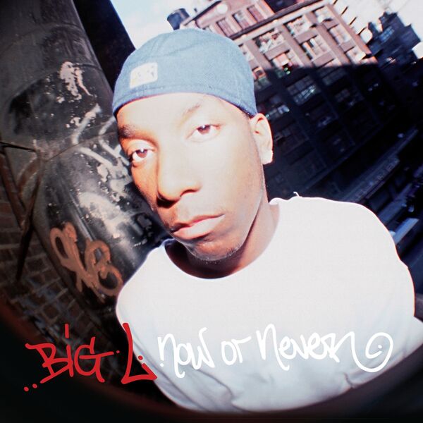 Big L - Now or Never LP レコード hip hop Now or Never, Big L - Qobuz
