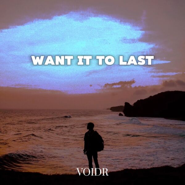 VOIDR|WANT IT TO LAST VOIDR|WANT IT TO LAST