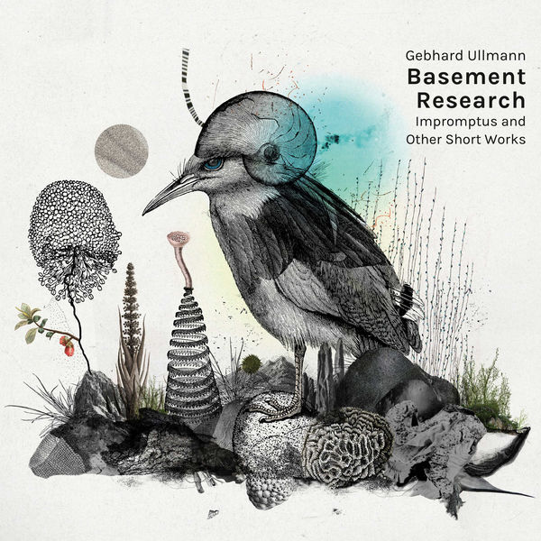 Gebhard Ullmann Basement Research|Impromptus and Other Short Works