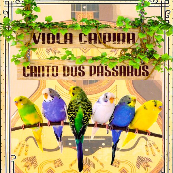 André Magalhães - Viola Caipira / O Canto dos Pássaros André Magalhães - Viola Caipira / O Canto dos Pássaros