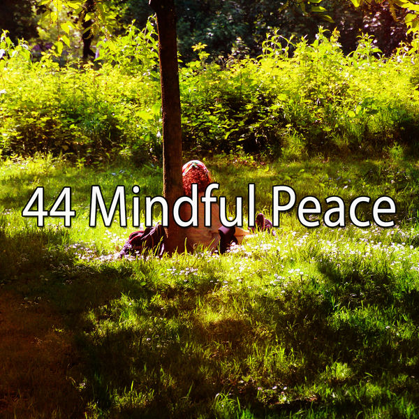 Yoga Workout Music - 44 Mindful Peace Yoga Workout Music - 44 Mindful Peace