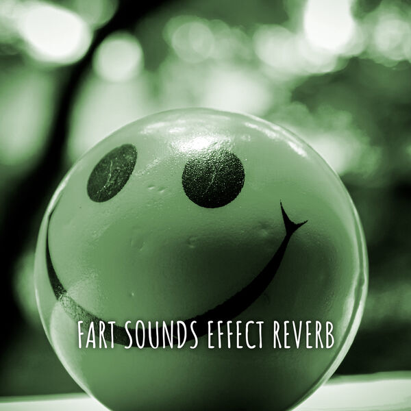 FART SOUNDS EFFECT REVERB, Fart Fest Qobuz