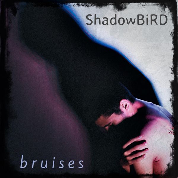 Shadowbird - Bruises (Instrumental) Shadowbird - Bruises (Instrumental)