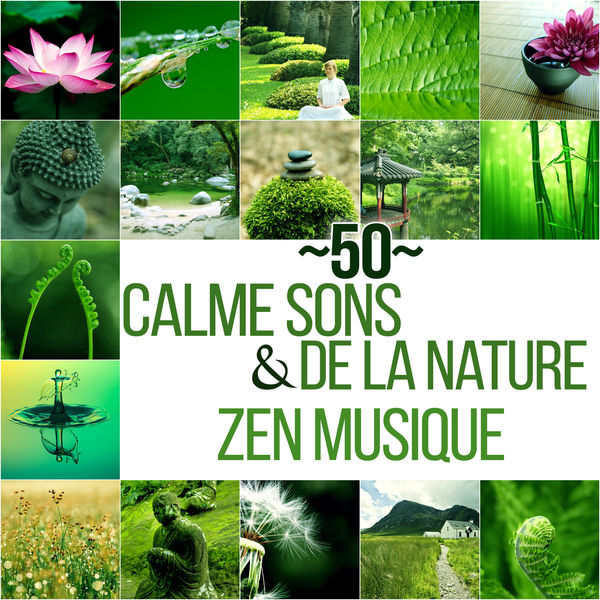 Just Relax Music Universe|50 Calme sons de la nature & Zen musique - Détente et relaxation avec bruits de la nature et New Age, Bonne humeur, Clarifier idées, Se calmer, Se relaxer et tranquilliser (Yoga, Pilates, Qi gong)