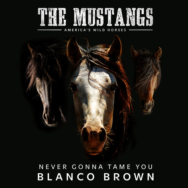 Blanco Brown|Never Gonna Tame You (Original Song from "The Mustangs: America's Wild Horses")