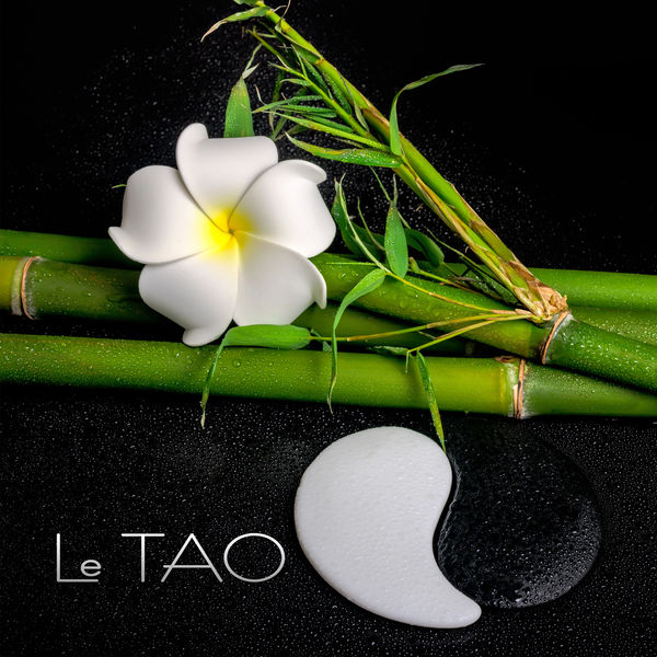 Ensemble de Musique Zen Relaxante - Le TAO - Une atmosphère à la détente, La tradition taoïste, Source de bien-être et de paix intérieure Ensemble de Musique Zen Relaxante - Le TAO - Une atmosphère à la détente, La tradition taoïste, Source de bien-être et de paix intérieure