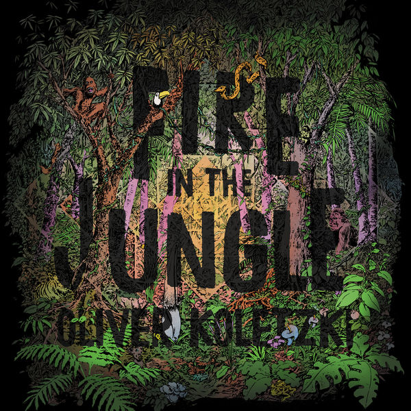 Oliver Koletzki|Fire in the Jungle