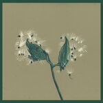 Dirty Projectors Song Of The Earth - Instrumentals