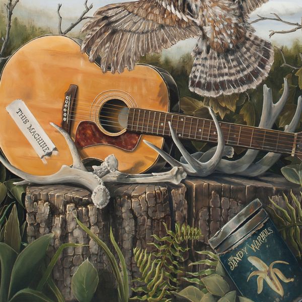 The Dandy Warhols |This Machine The Dandy Warhols |This Machine