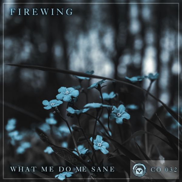FireWing - What Me Do Me Sane FireWing - What Me Do Me Sane