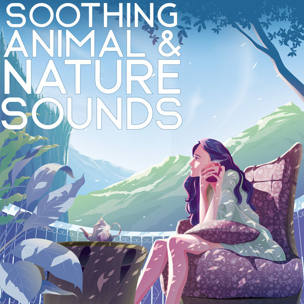 Nature Sounds Relaxation: Music for Sleep, Meditation, Massage Therapy, Spa|Soothing Animal & Nature Sounds - Relaxation Music for Stress Relief, Peaceful Place, Clear Your Mind, Harmony of Senses, Water Sounds, Birdsong, Mother Nature