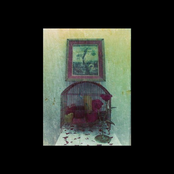 Mismoinerte - Árbolcamina Mismoinerte - Árbolcamina
