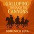 Domenico Leva Galloping through the canyons