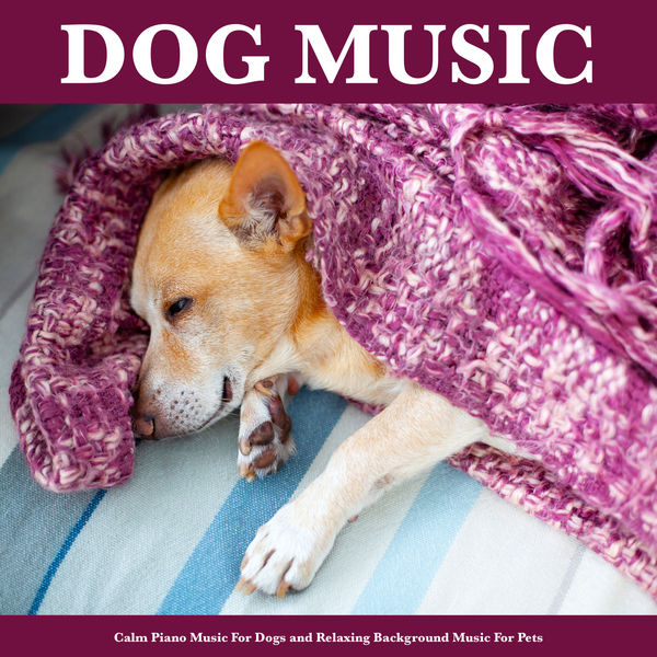 Dog Music|Dog Music: Calm Piano Music For Dogs and Relaxing Background Music For Pets