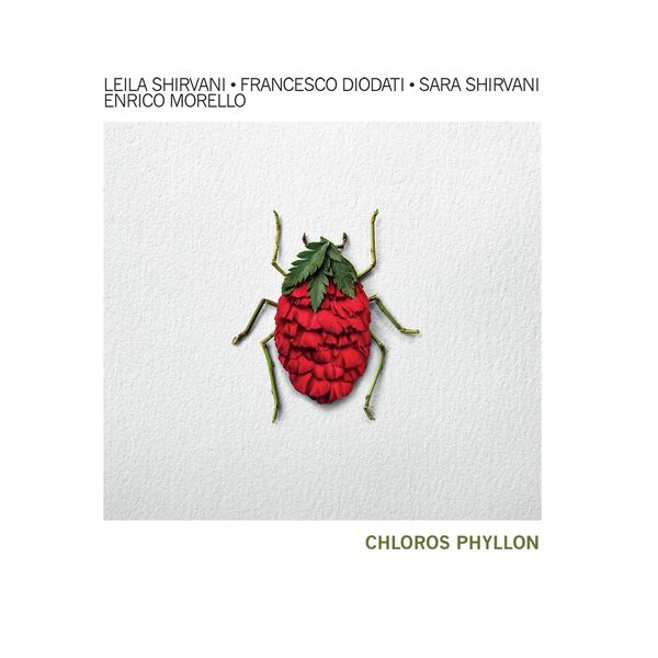 Various Artists - Clorofilla Various Artists - Clorofilla