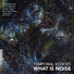 What Is Noise Temporal Echoes