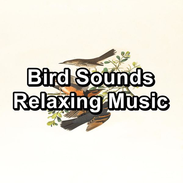 Nice Sounds Bird Sounds Relaxing Music, Nature Sounds & Bird Sounds - Qobuz
