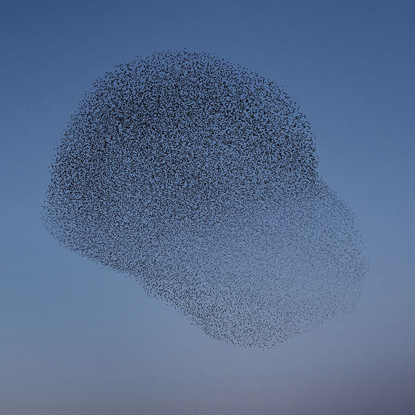 Matteo Myderwyk|Evening Song Matteo Myderwyk|Evening Song