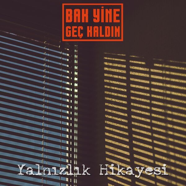 Bak Yine Geç Kaldım|Yalnızlık Hikayesi