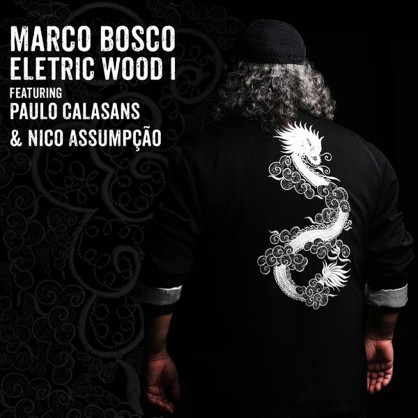 Marco Bosco|Electricwood I (feat. Nico Assumpção & Paulo Calasans)