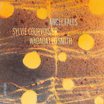 Sylvie Courvoisier Angel Falls