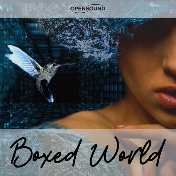 Raffaella Capogna, Silvio Piersanti - Boxed World (Music for Movie) Raffaella Capogna, Silvio Piersanti - Boxed World (Music for Movie)