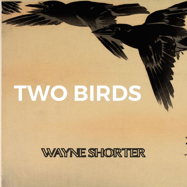 Wayne Shorter - Two Birds Wayne Shorter - Two Birds