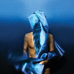 Devendra Banhart Flying Wig