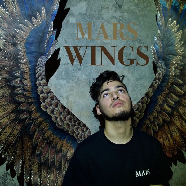 Album Wings Mars Qobuz Download And Streaming In High Quality