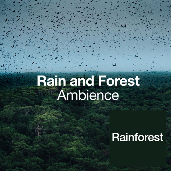 Rainforest - Rain and Forest Ambience Rainforest - Rain and Forest Ambience