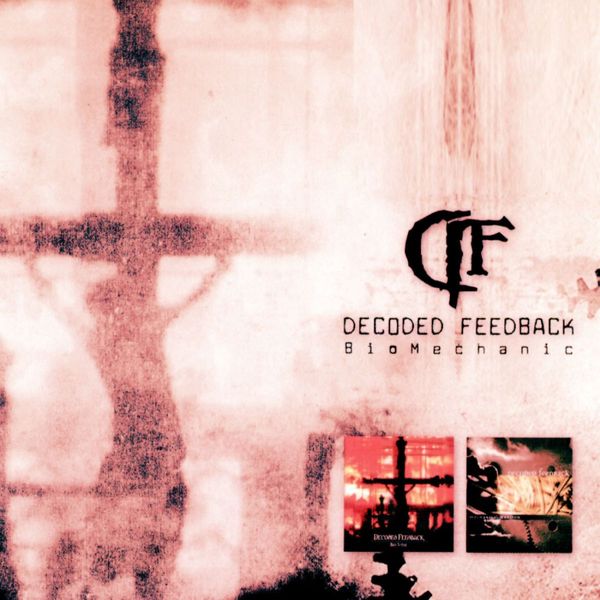 Decoded Feedback|BioMechanic Decoded Feedback|BioMechanic