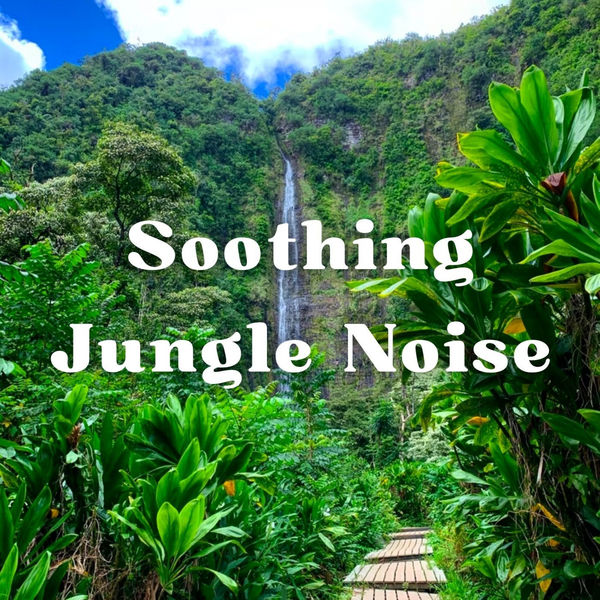 Miracle Tones|Soothing Jungle Noise - 2 hours Miracle Tones|Soothing Jungle Noise - 2 hours