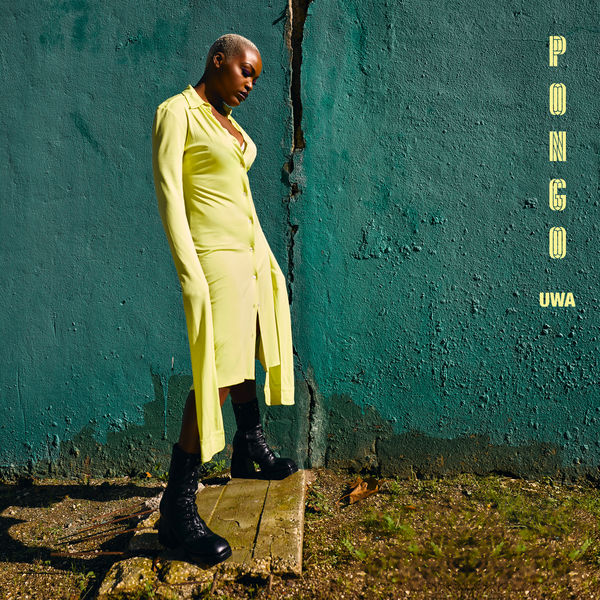 Pongo - UWA Pongo - UWA