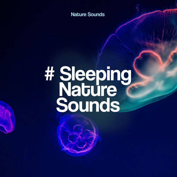 Nature Sounds|# Sleeping Nature Sounds