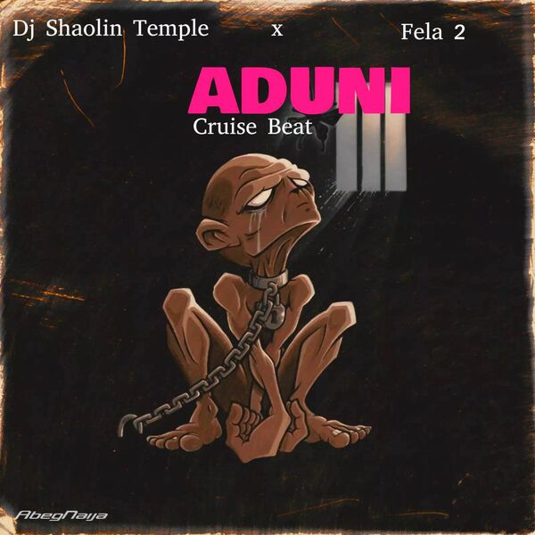 Dj Shaolin Temple|Aduni (Cruise Beat) Dj Shaolin Temple|Aduni (Cruise Beat)